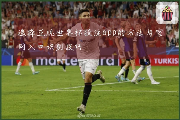 选择正规世界杯投注app的方法与官网入口识别技巧