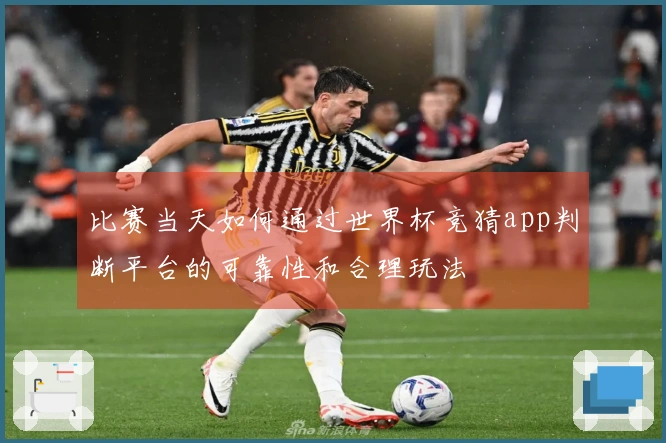 比赛当天如何通过世界杯竞猜app判断平台的可靠性和合理玩法