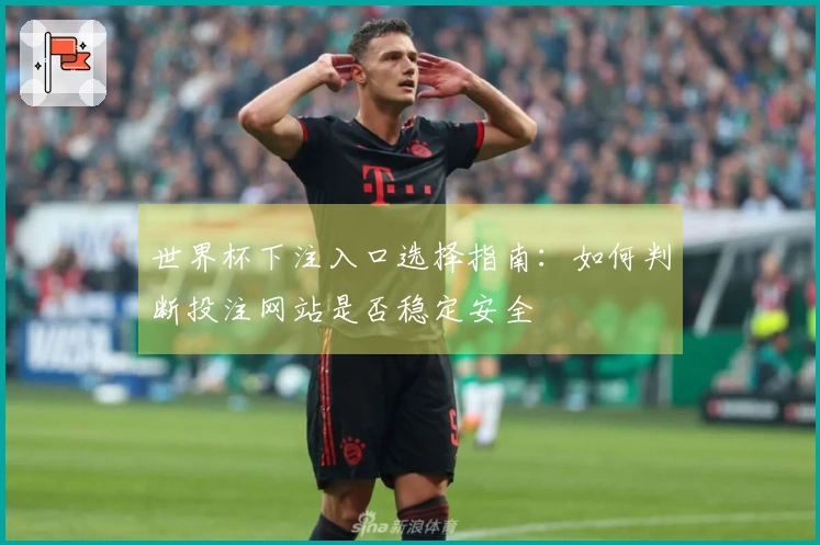 世界杯下注入口选择指南：如何判断投注网站是否稳定安全