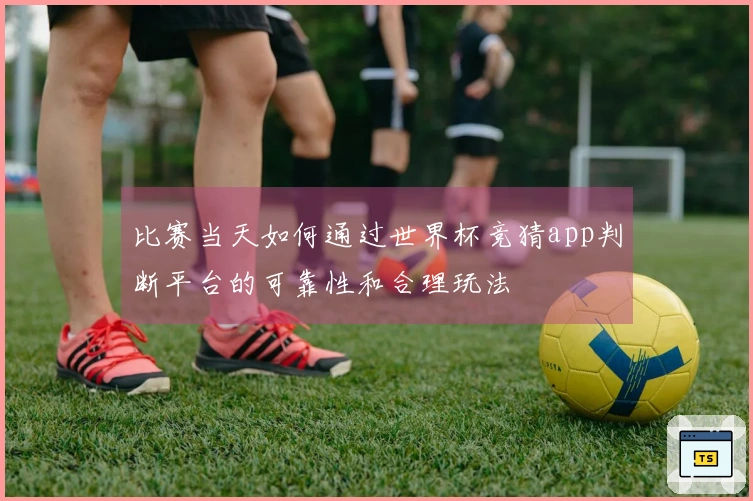 比赛当天如何通过世界杯竞猜app判断平台的可靠性和合理玩法