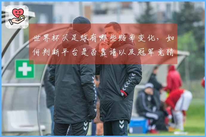 世界杯买足球有哪些赔率变化，如何判断平台是否靠谱以及冠军竞猜的流程解析